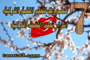 7 خطوات لتعلم اللغة التركية